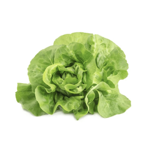 burgersalat