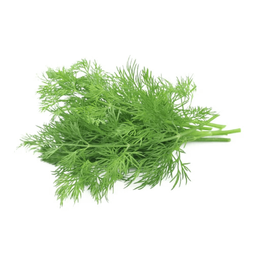 Dill