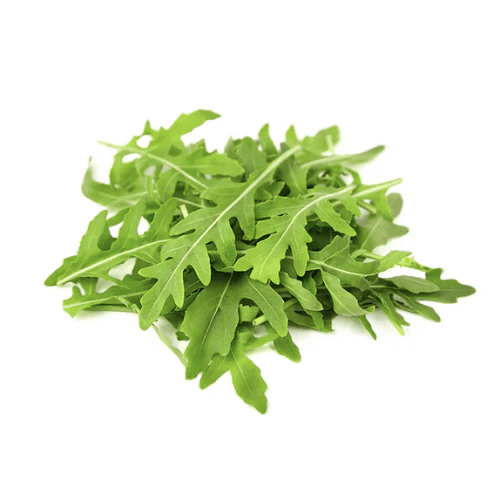 rucola