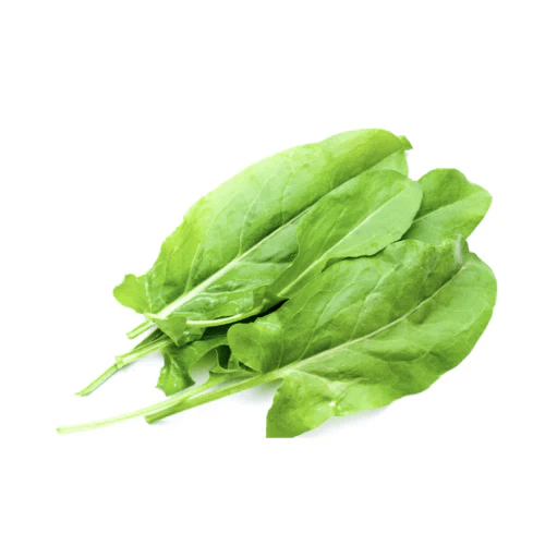 sauerampfer